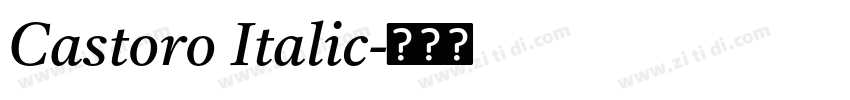 Castoro Italic字体转换